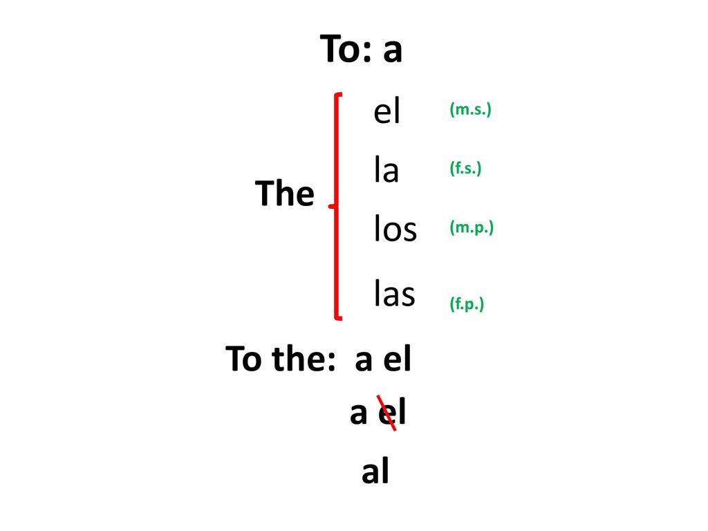 To: a el la The los las To the: a el a el al (m.s.) (f.s.) (m.p.)