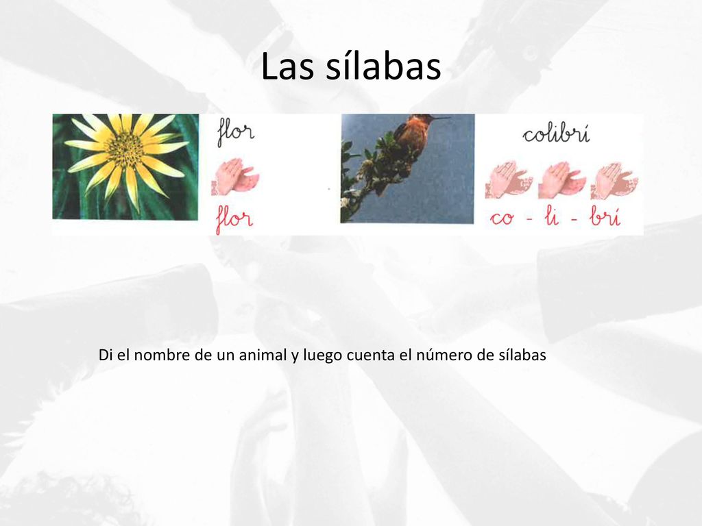 Las sílabas Di el nombre de un animal y luego cuenta el número de sílabas