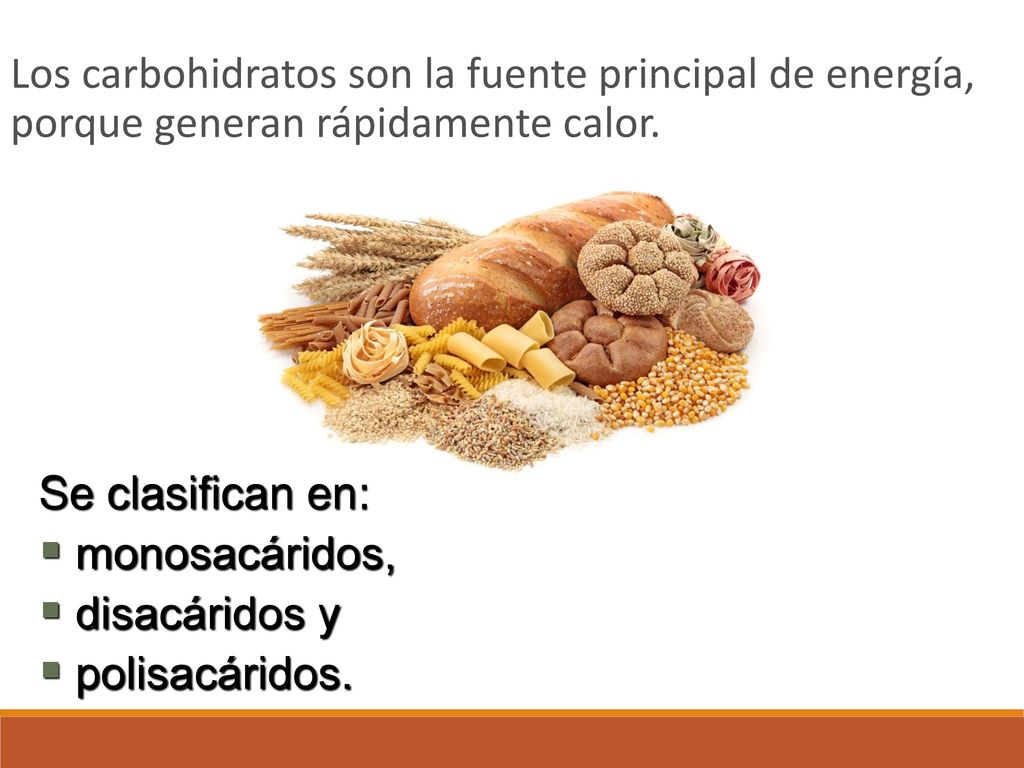 Los carbohidratos son la fuente principal de energía, porque generan rápidamente calor.