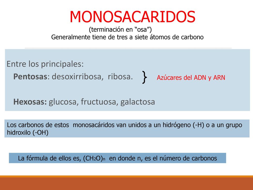 La fórmula de ellos es, (CH2O)n en donde n, es el número de carbonos