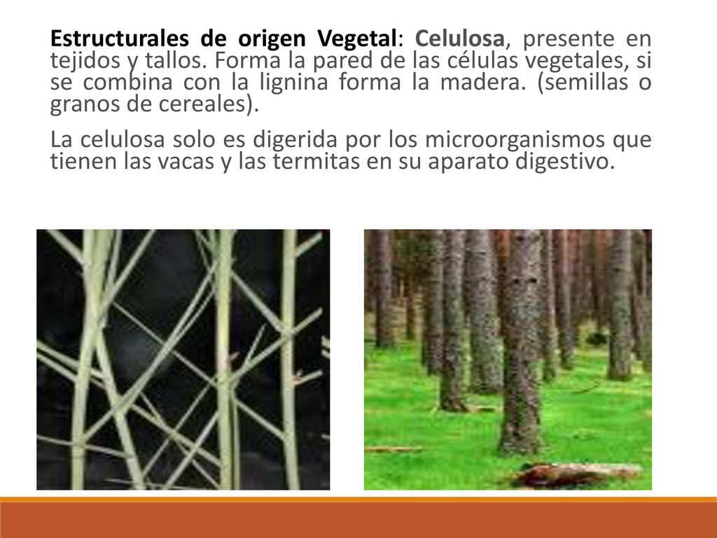 Estructurales de origen Vegetal: Celulosa, presente en tejidos y tallos. Forma la pared de las células vegetales, si se combina con la lignina forma la madera. (semillas o granos de cereales).