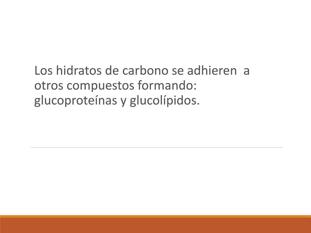 Los hidratos de carbono se adhieren a otros compuestos formando: glucoproteínas y glucolípidos.