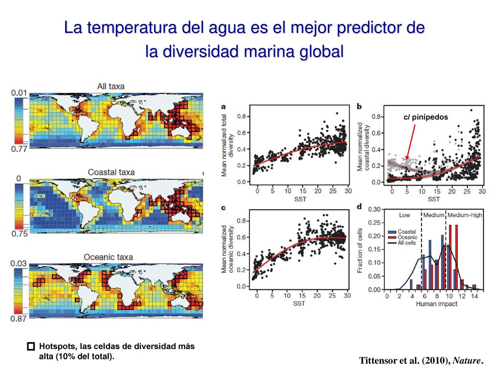 La temperatura del agua es el mejor predictor de la diversidad marina global