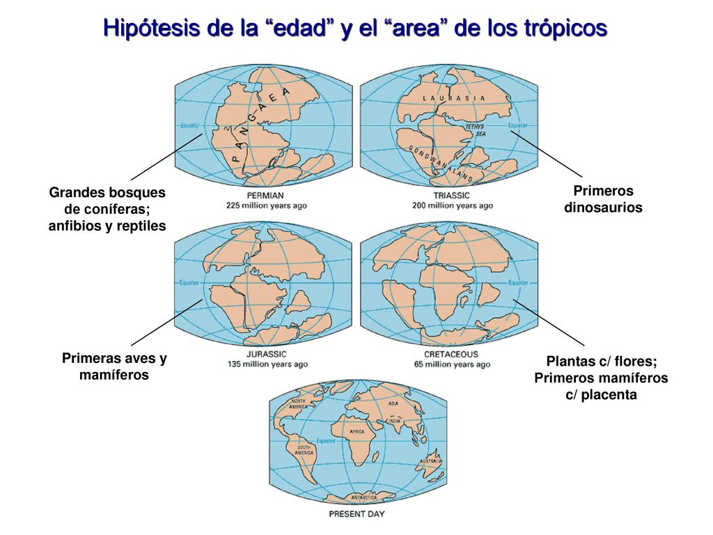Hipótesis de la edad y el area de los trópicos