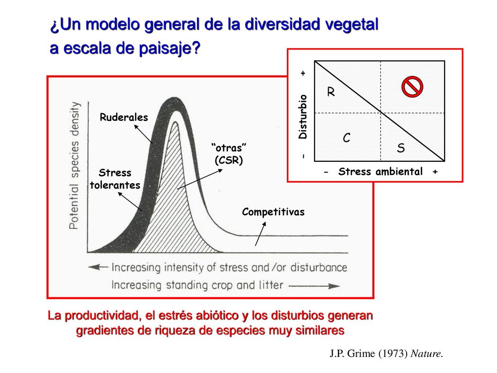 ¿Un modelo general de la diversidad vegetal a escala de paisaje