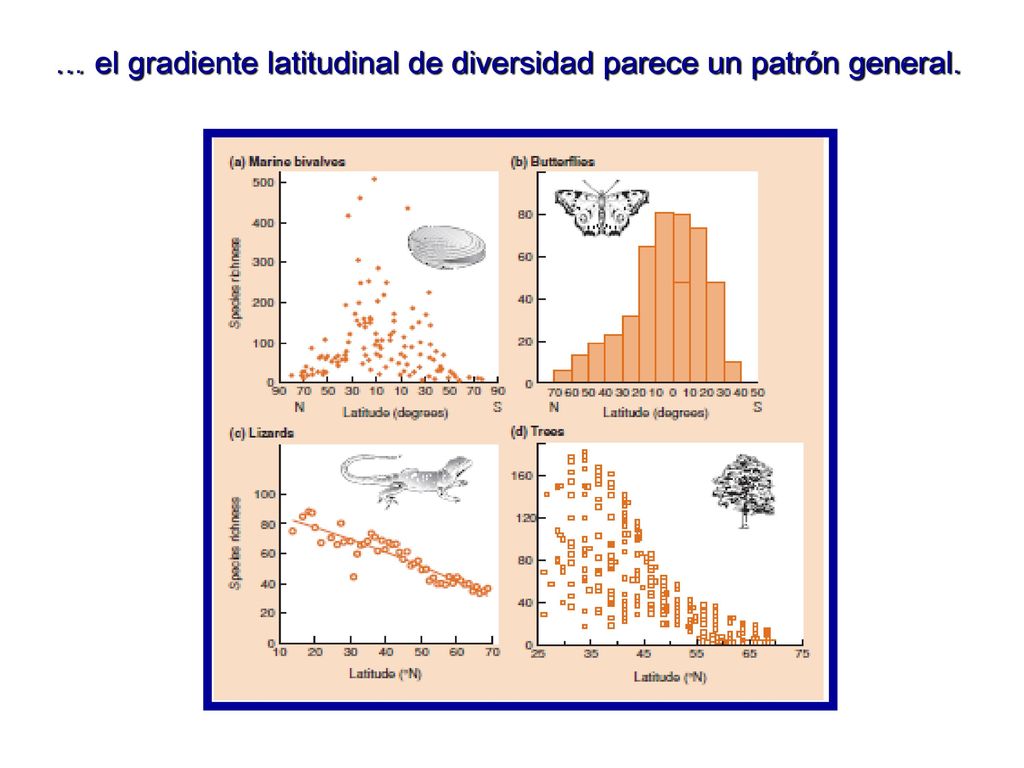 … el gradiente latitudinal de diversidad parece un patrón general.