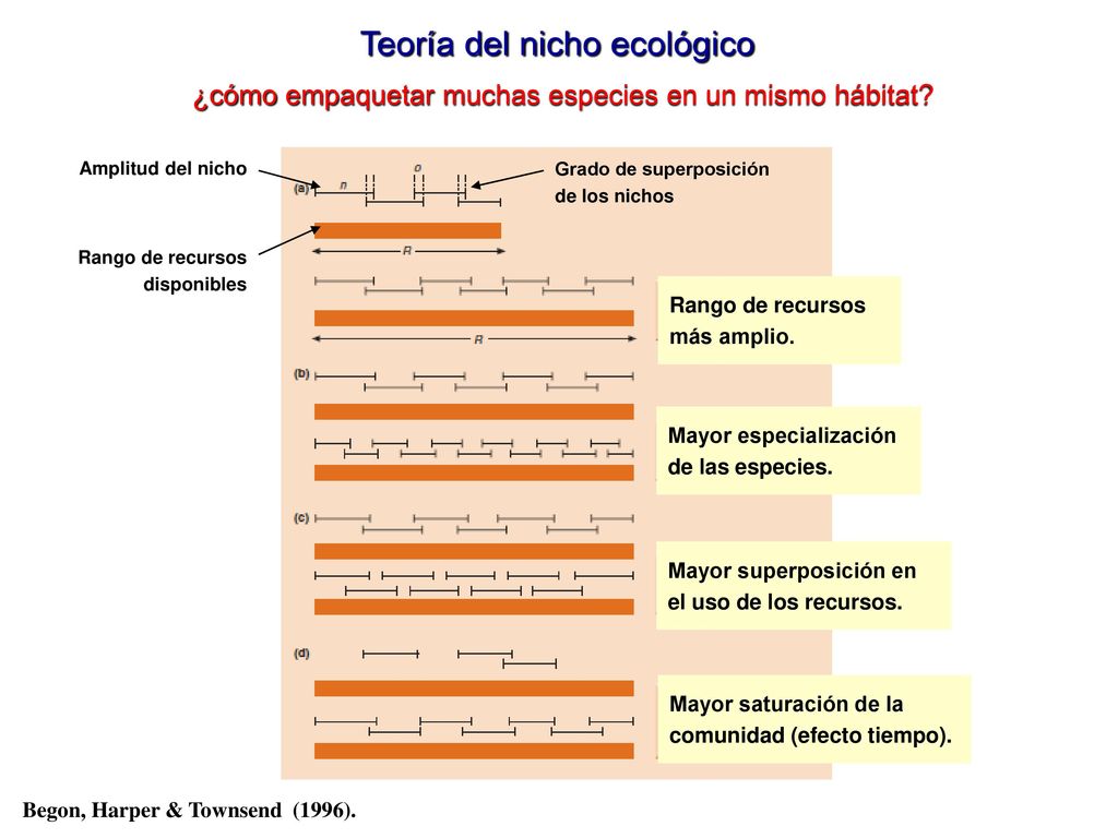Teoría del nicho ecológico ¿cómo empaquetar muchas especies en un mismo hábitat
