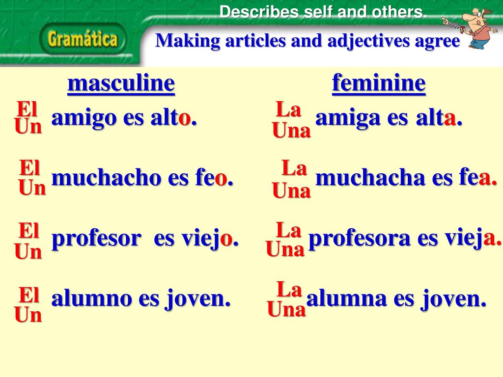 muchacho es feo. muchacha es profesor es viejo. profesora es