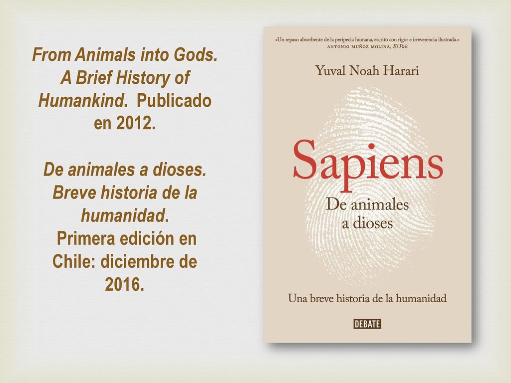 From Animals into Gods. A Brief History of Humankind.