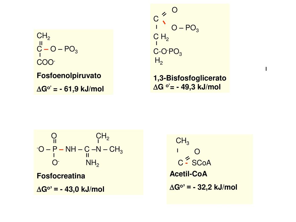 O C. O – PO3. C H2. C-O-PO3. H2. 1,3-Bisfosfoglicerato. DG o’= - 49,3 kJ/mol. װ. ו. CH2. C – O – PO3.
