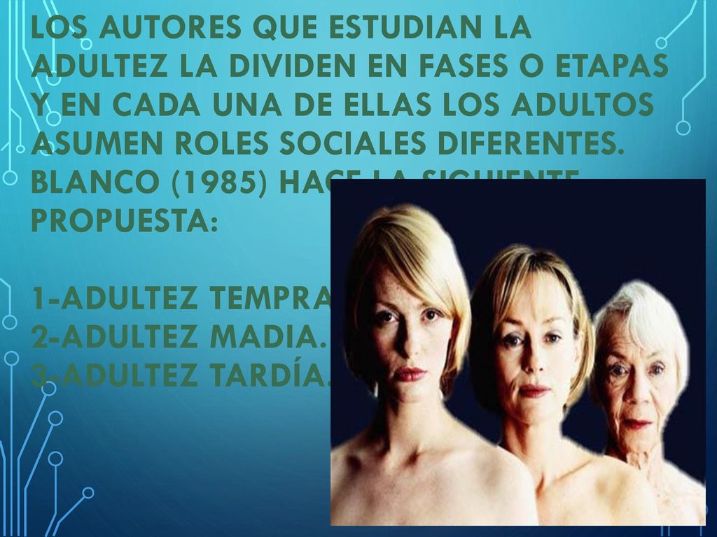 Los autores que estudian la adultez la dividen en fases o etapas y en cada una de ellas los adultos asumen roles sociales diferentes.