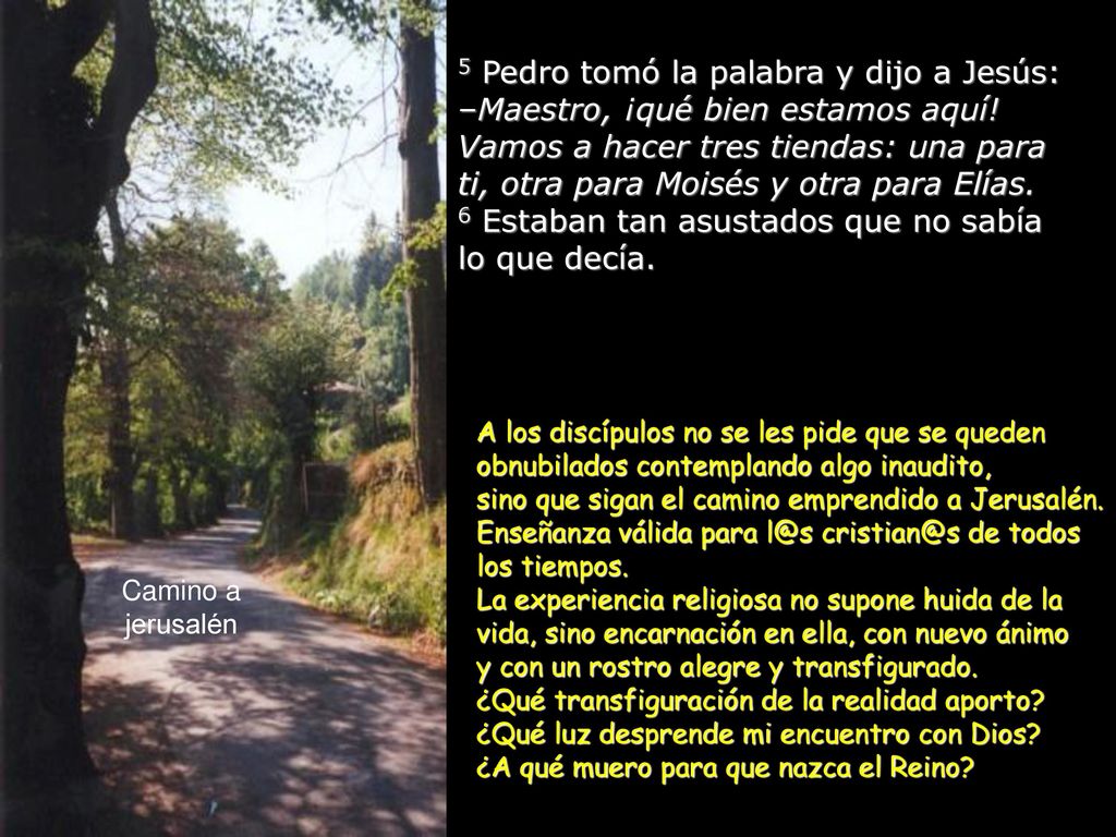 5 Pedro tomó la palabra y dijo a Jesús: –Maestro, ¡qué bien estamos aquí! Vamos a hacer tres tiendas: una para ti, otra para Moisés y otra para Elías. 6 Estaban tan asustados que no sabía lo que decía.