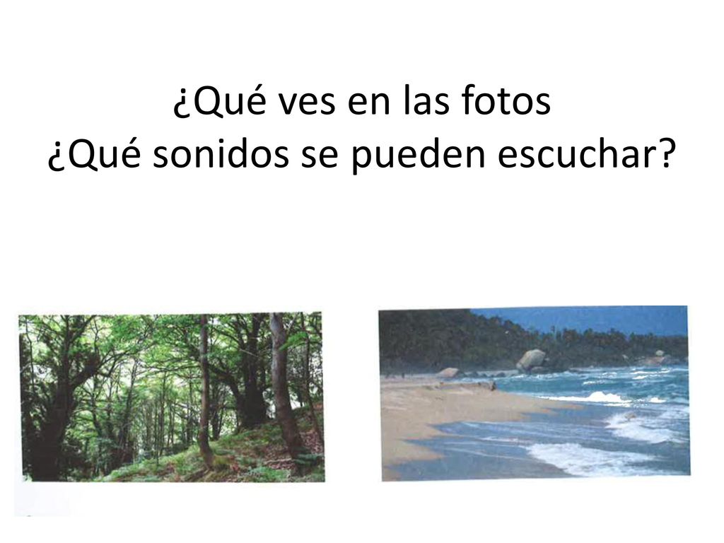 ¿Qué ves en las fotos ¿Qué sonidos se pueden escuchar
