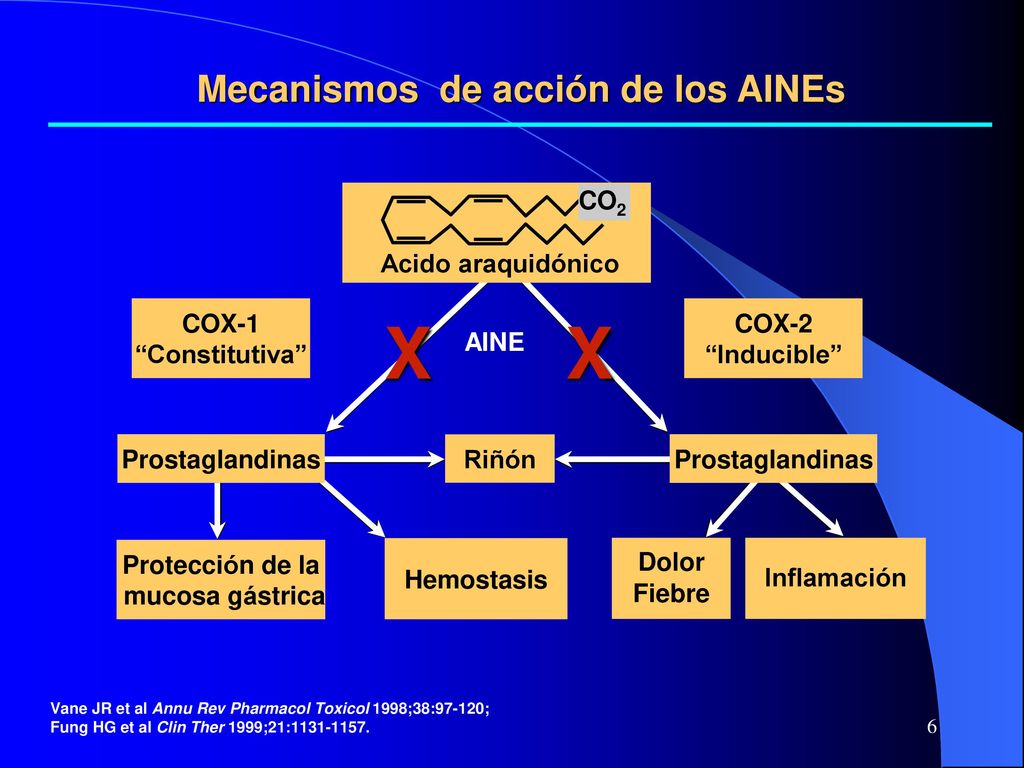 Mecanismos de acción de los AINEs Protección de la mucosa gástrica