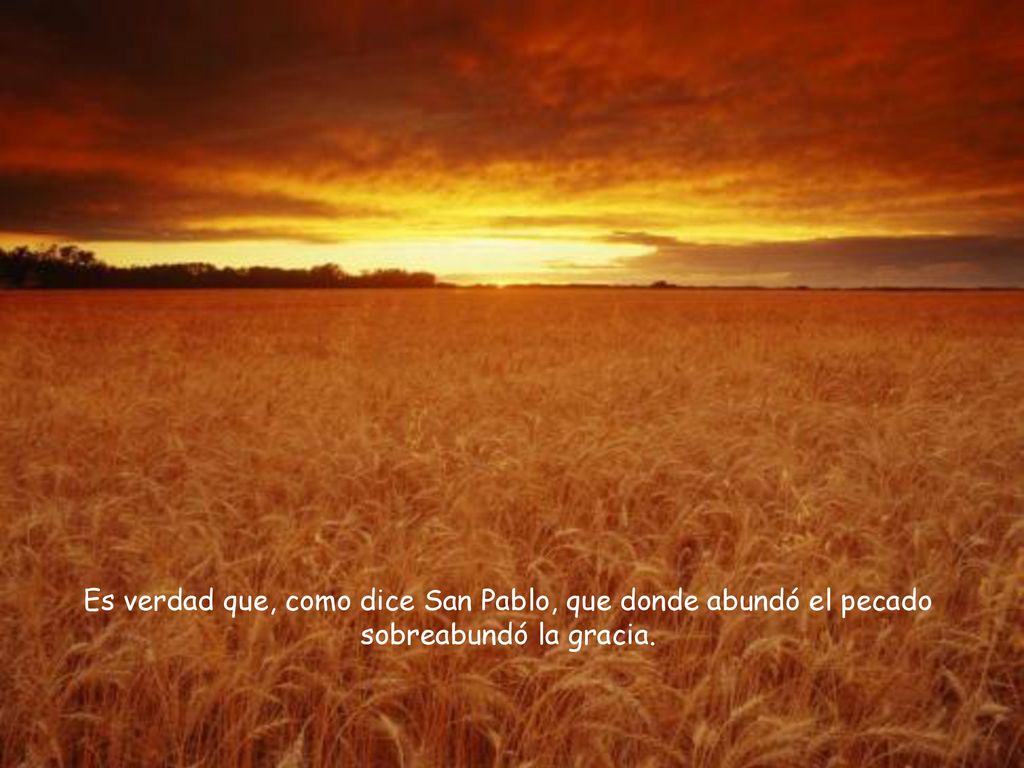 Es verdad que, como dice San Pablo, que donde abundó el pecado sobreabundó la gracia.