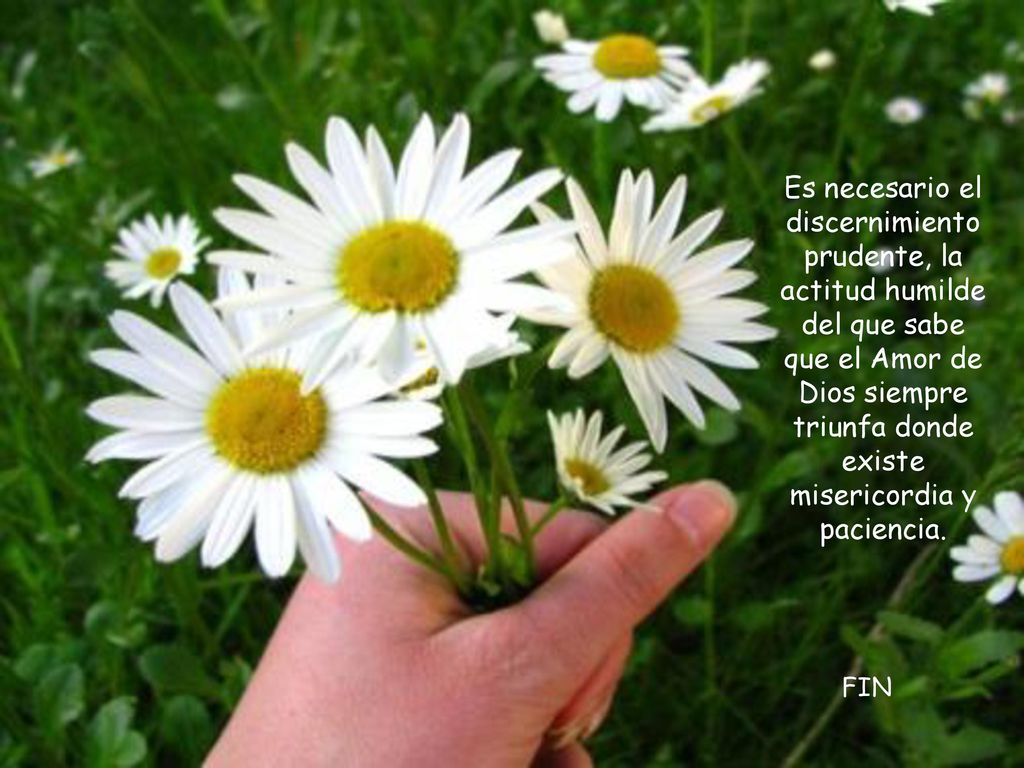 Es necesario el discernimiento prudente, la actitud humilde del que sabe que el Amor de Dios siempre triunfa donde existe misericordia y paciencia.