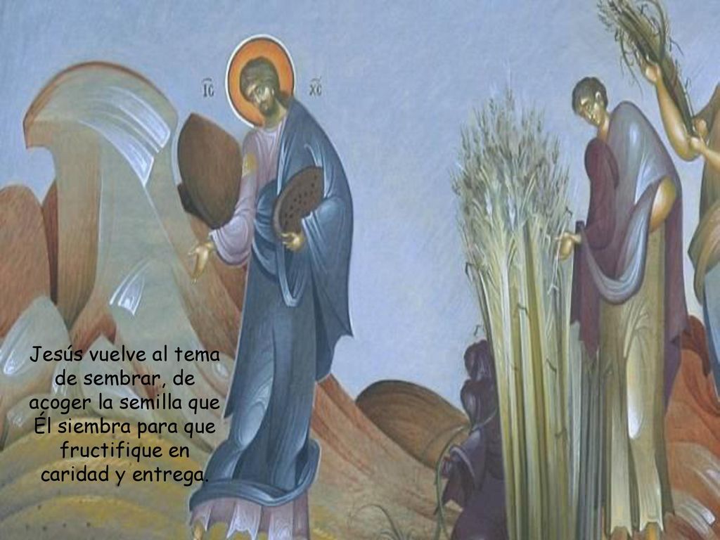 Jesús vuelve al tema de sembrar, de acoger la semilla que Él siembra para que fructifique en caridad y entrega.