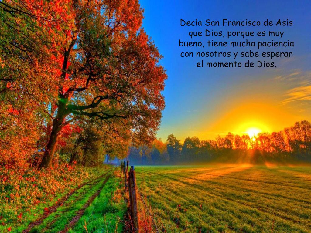 Decía San Francisco de Asís que Dios, porque es muy bueno, tiene mucha paciencia con nosotros y sabe esperar el momento de Dios.