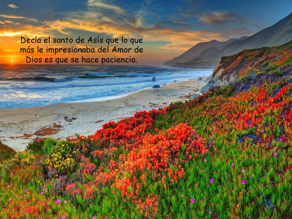 Decía el santo de Asís que lo que más le impresionaba del Amor de Dios es que se hace paciencia.