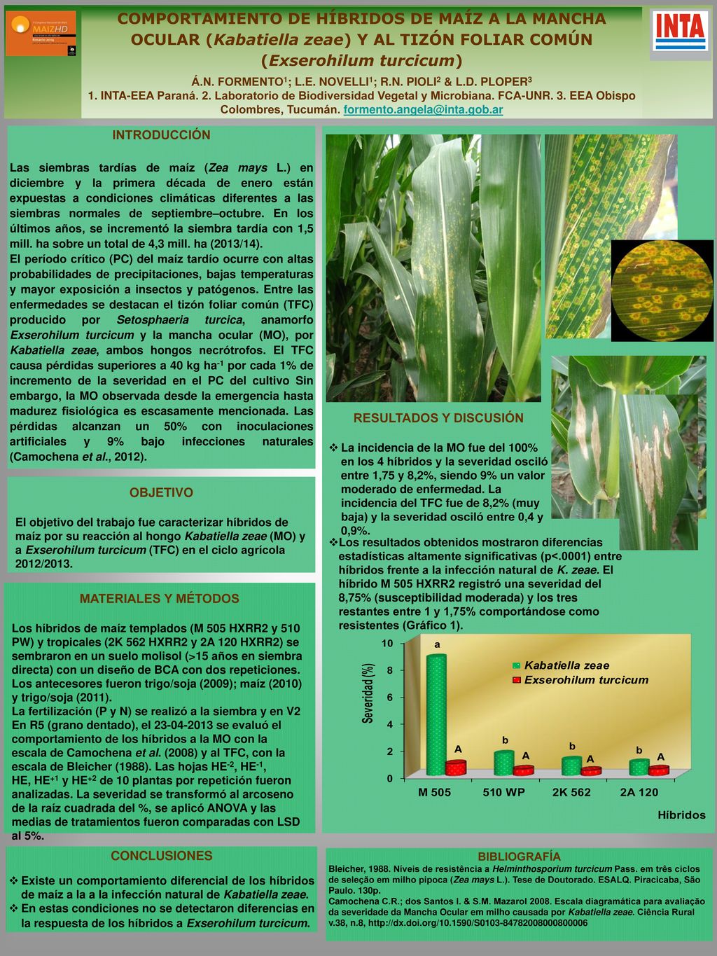 COMPORTAMIENTO DE HÍBRIDOS DE MAÍZ A LA MANCHA OCULAR (Kabatiella zeae) Y AL TIZÓN FOLIAR COMÚN (Exserohilum turcicum)