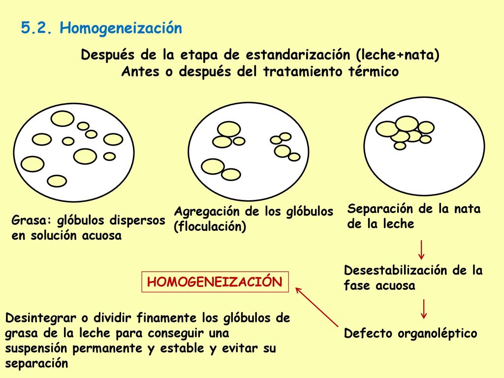5.2. Homogeneización Después de la etapa de estandarización (leche+nata) Antes o después del tratamiento térmico.