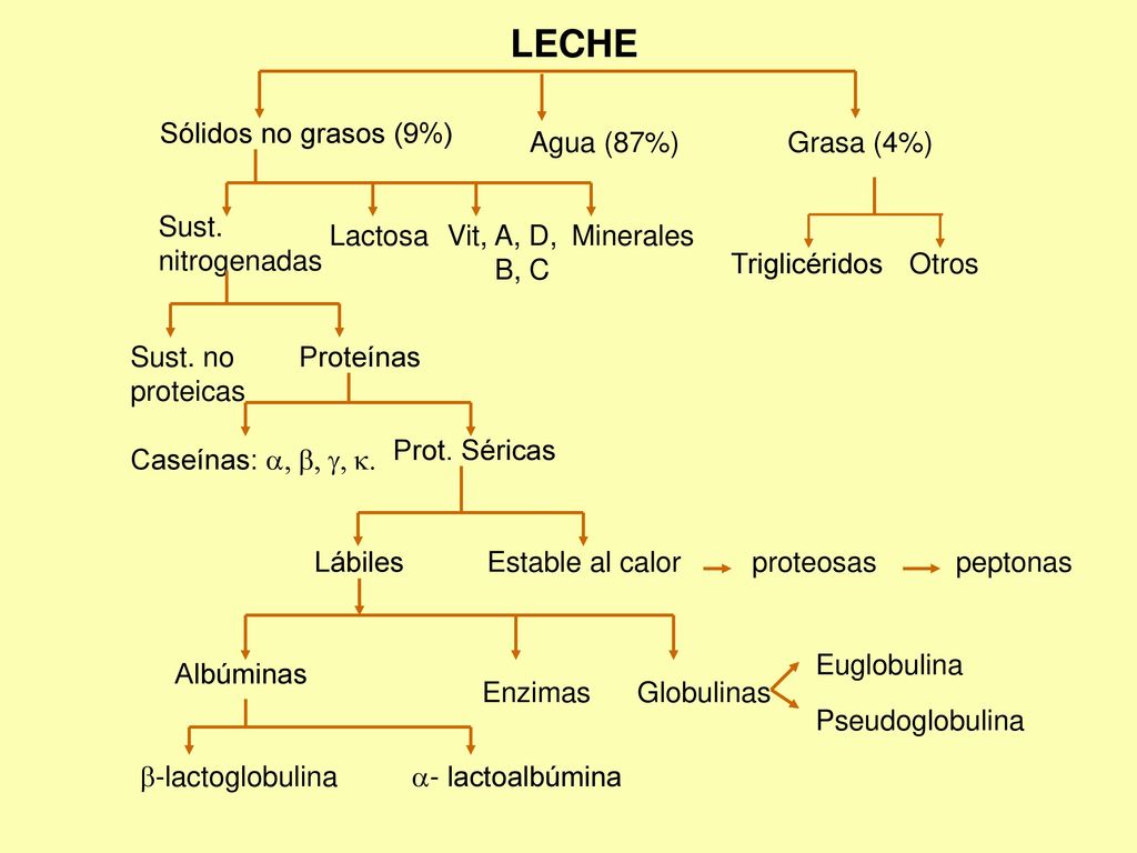 LECHE Sólidos no grasos (9%) Agua (87%) Grasa (4%) Sust. nitrogenadas