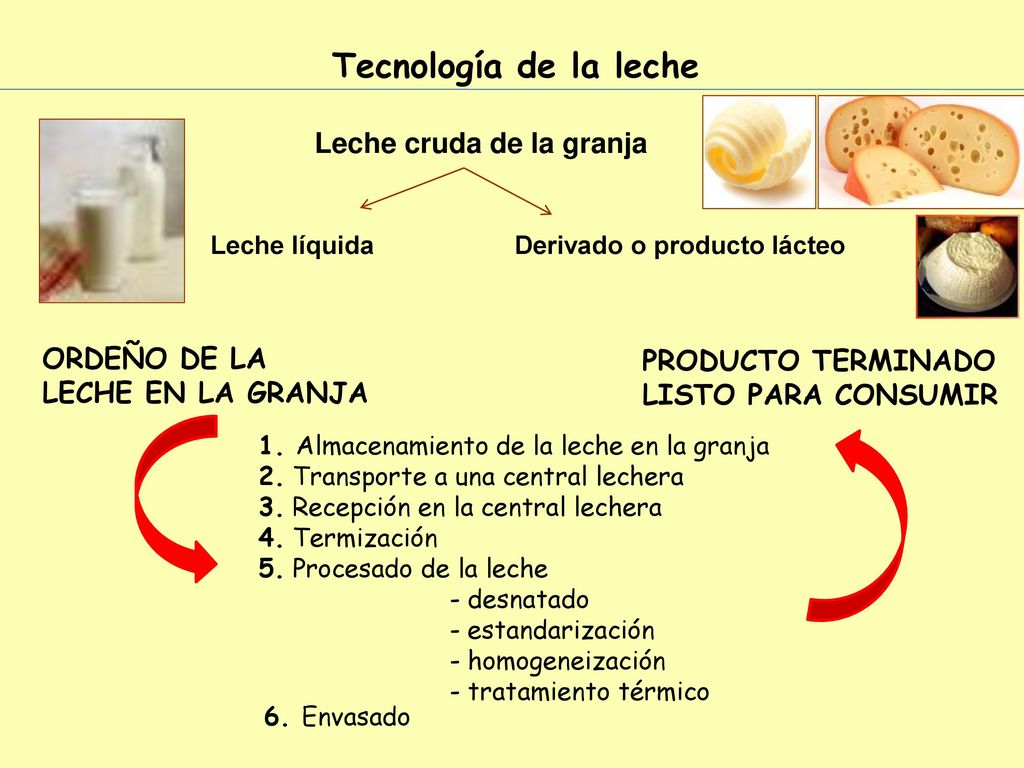 Tecnología de la leche Leche cruda de la granja ORDEÑO DE LA