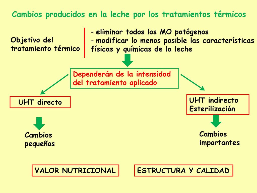 Cambios producidos en la leche por los tratamientos térmicos