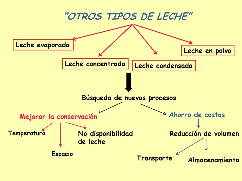 OTROS TIPOS DE LECHE Leche evaporada Leche en polvo