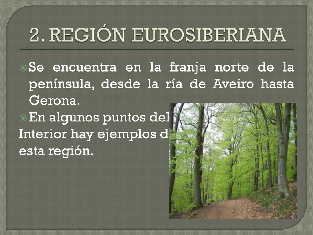2. REGIÓN EUROSIBERIANA Se encuentra en la franja norte de la península, desde la ría de Aveiro hasta Gerona.