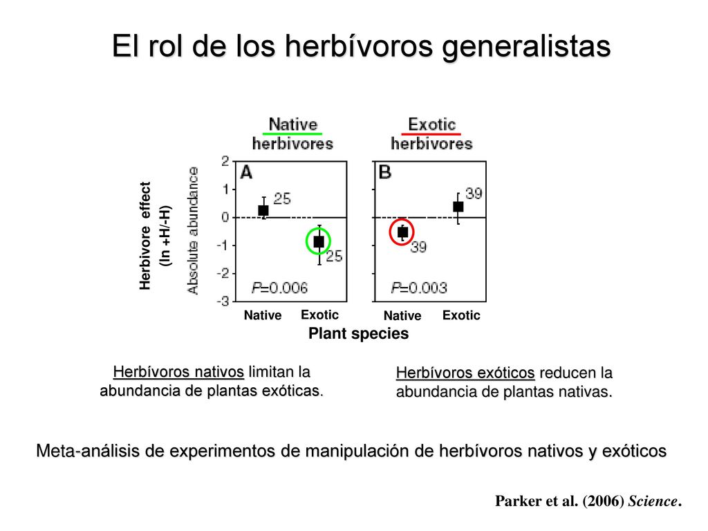 El rol de los herbívoros generalistas