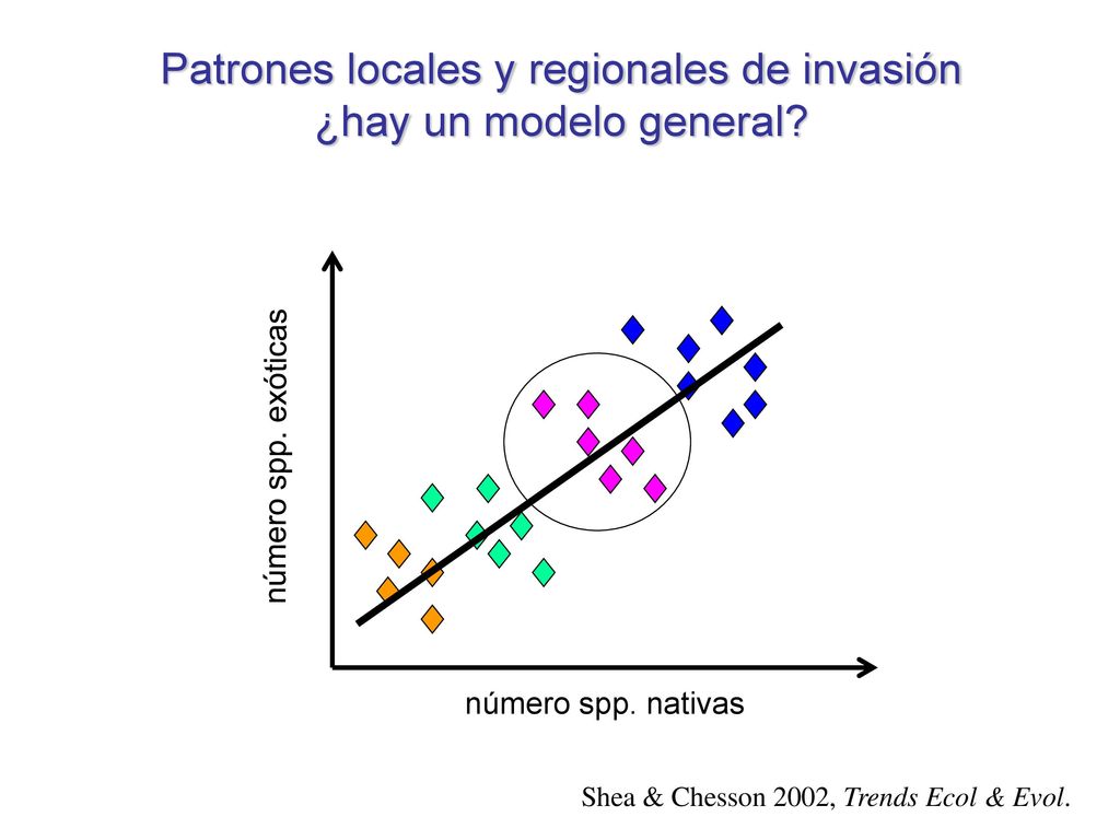 Patrones locales y regionales de invasión ¿hay un modelo general