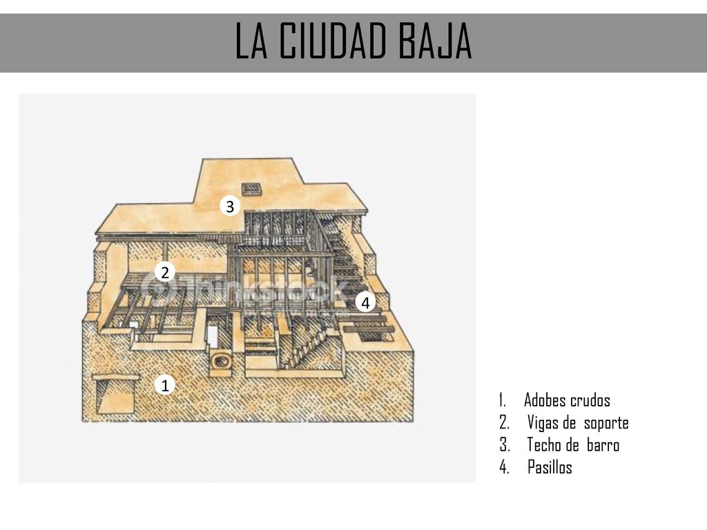 LA CIUDAD BAJA Adobes crudos Vigas de soporte Techo de barro Pasillos