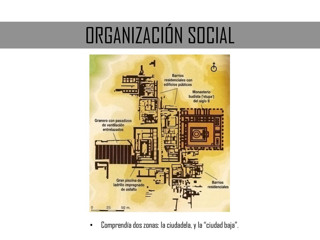 ORGANIZACIÓN SOCIAL Comprendía dos zonas: la ciudadela, y la ciudad baja .