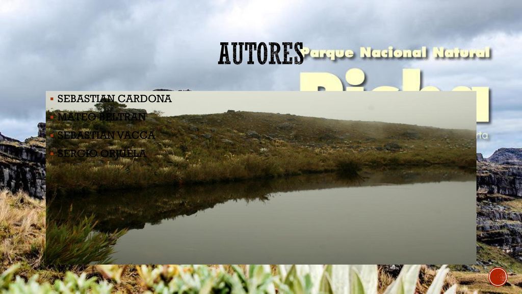 Autores SEBASTIAN CARDONA MATEO BELTRAN SEBASTIAN VACCA SERGIO ORJUELA