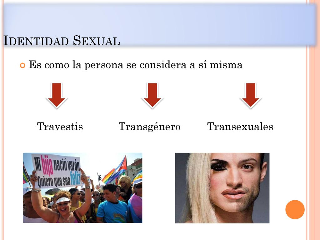 Identidad Sexual Es como la persona se considera a sí misma