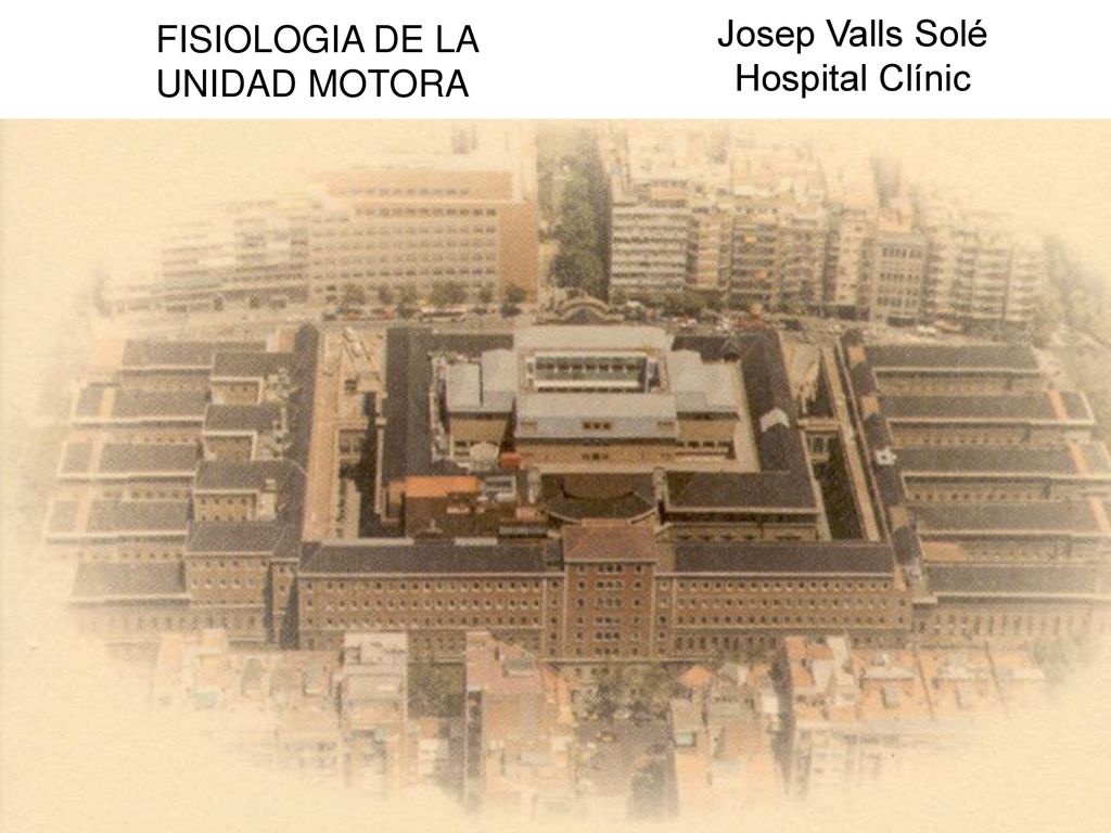 FISIOLOGIA DE LA UNIDAD MOTORA Josep Valls Solé Hospital Clínic