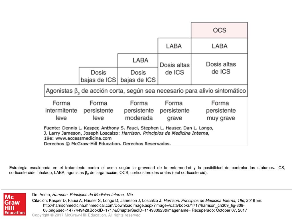 Estrategia escalonada en el tratamiento contra el asma según la gravedad de la enfermedad y la posibilidad de controlar los síntomas. ICS, corticosteroide inhalado; LABA, agonistas β2 de larga acción; OCS, corticosteroides orales (oral corticosteroid).