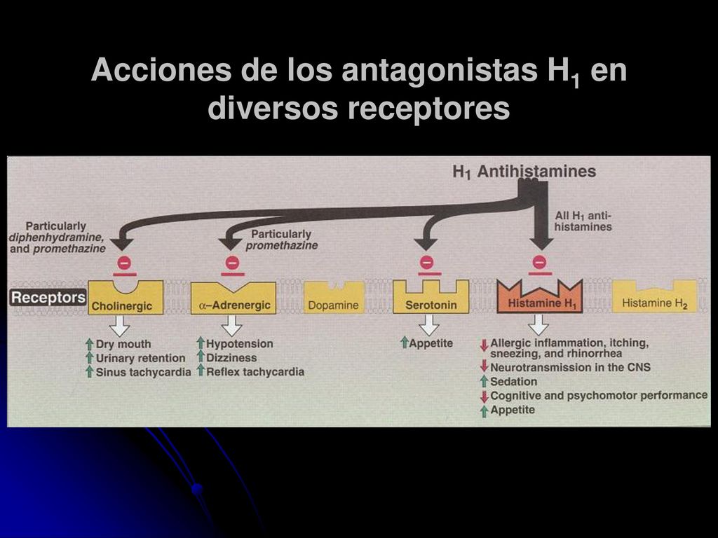 Acciones de los antagonistas H1 en diversos receptores
