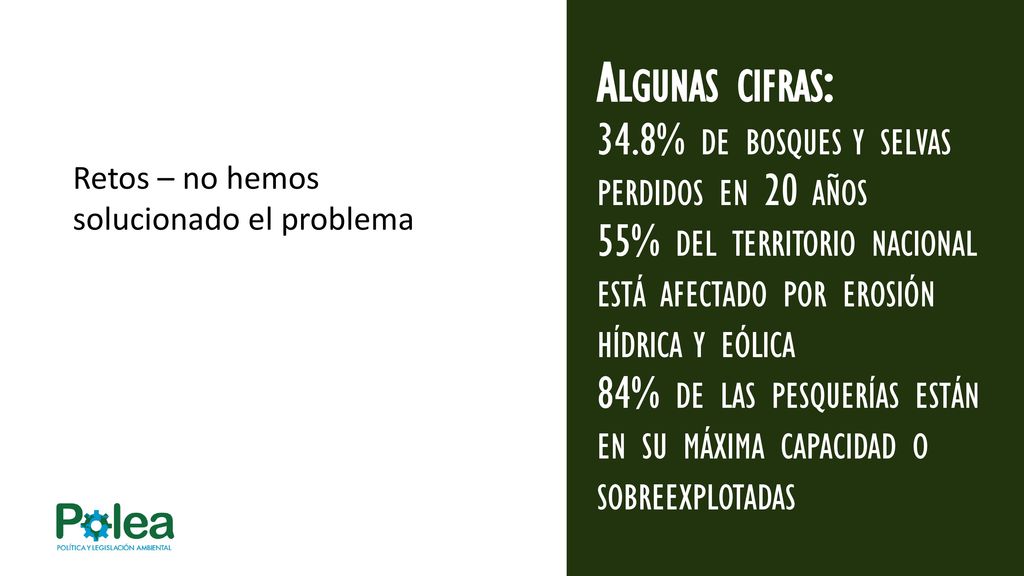 Algunas cifras: 34.8% de bosques y selvas perdidos en 20 años 55% del territorio nacional está afectado por erosión hídrica y eólica 84% de las pesquerías están en su máxima capacidad o sobreexplotadas