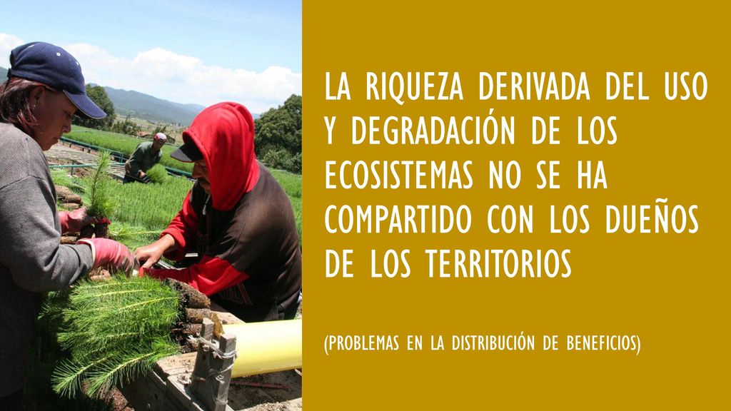 La riqueza derivada del uso y degradación de los ecosistemas no se ha compartido con los dueños de los territorios (problemas en la distribución de beneficios)