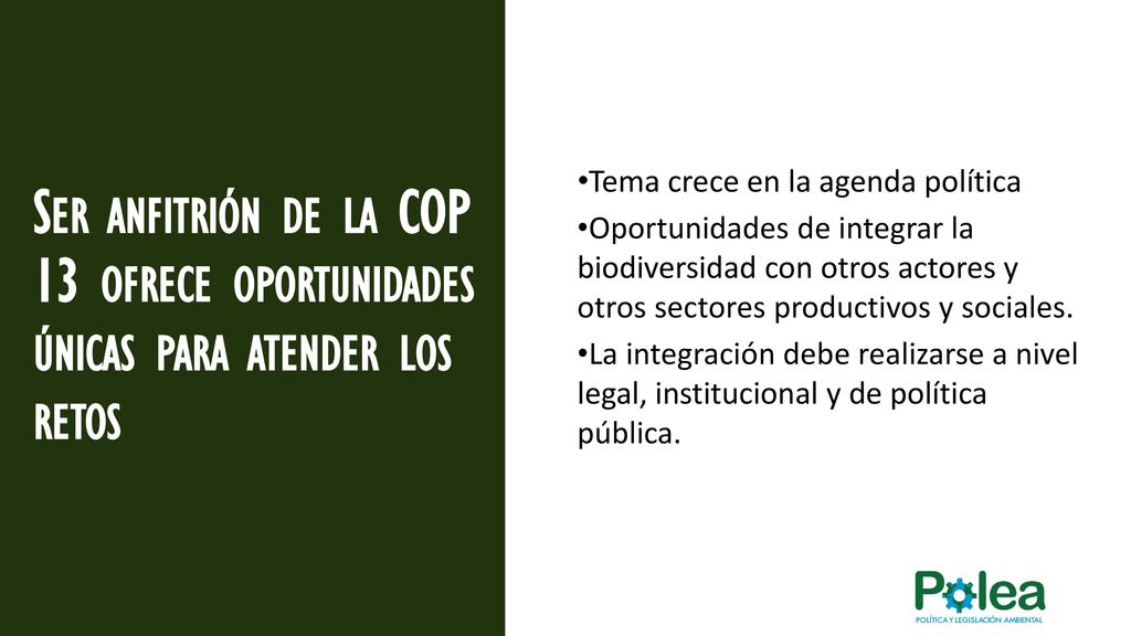 Ser anfitrión de la COP 13 ofrece oportunidades únicas para atender los retos