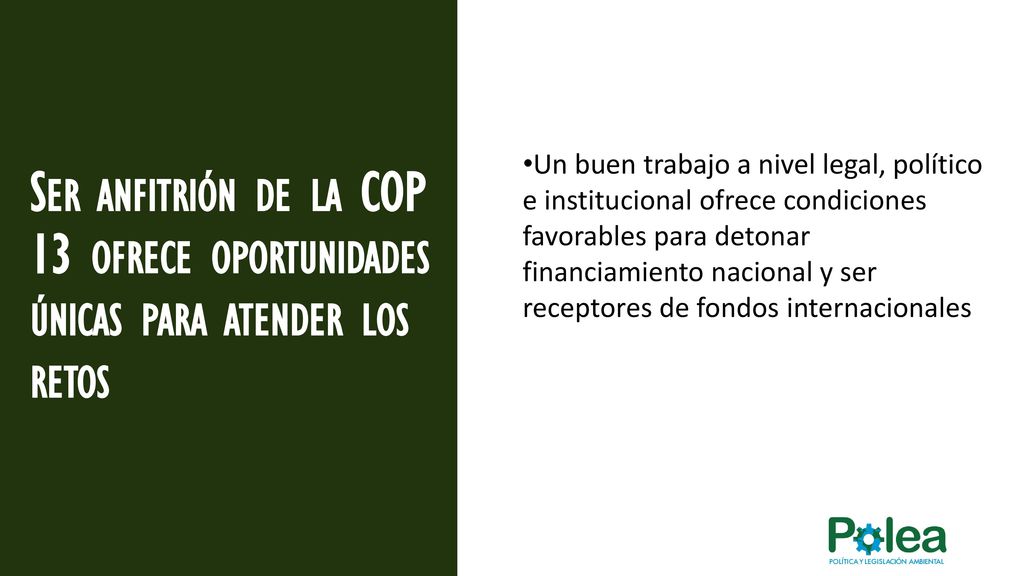 Ser anfitrión de la COP 13 ofrece oportunidades únicas para atender los retos