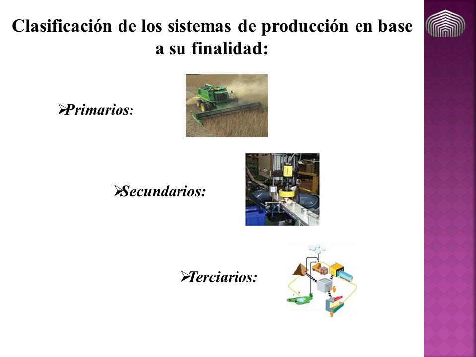Clasificación de los sistemas de producción en base a su finalidad: