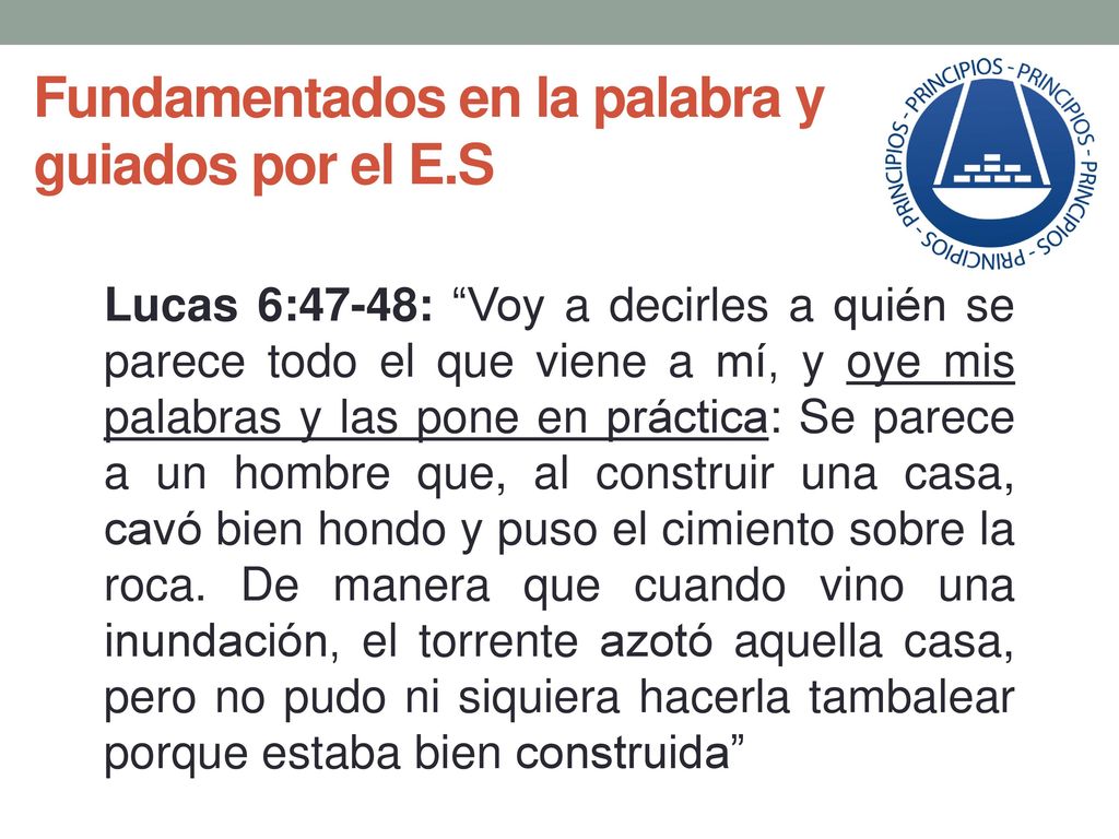 Fundamentados en la palabra y guiados por el E.S