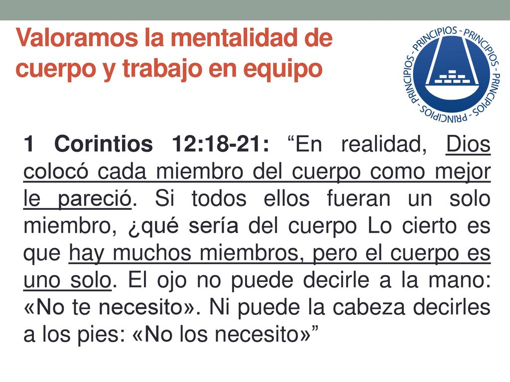 Valoramos la mentalidad de cuerpo y trabajo en equipo