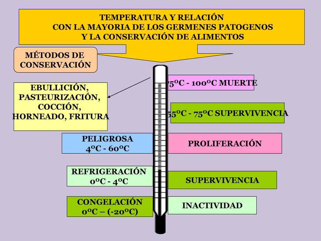 TEMPERATURA Y RELACIÓN CON LA MAYORIA DE LOS GERMENES PATOGENOS