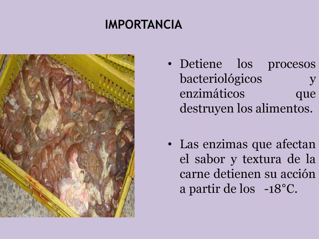 IMPORTANCIA Detiene los procesos bacteriológicos y enzimáticos que destruyen los alimentos.