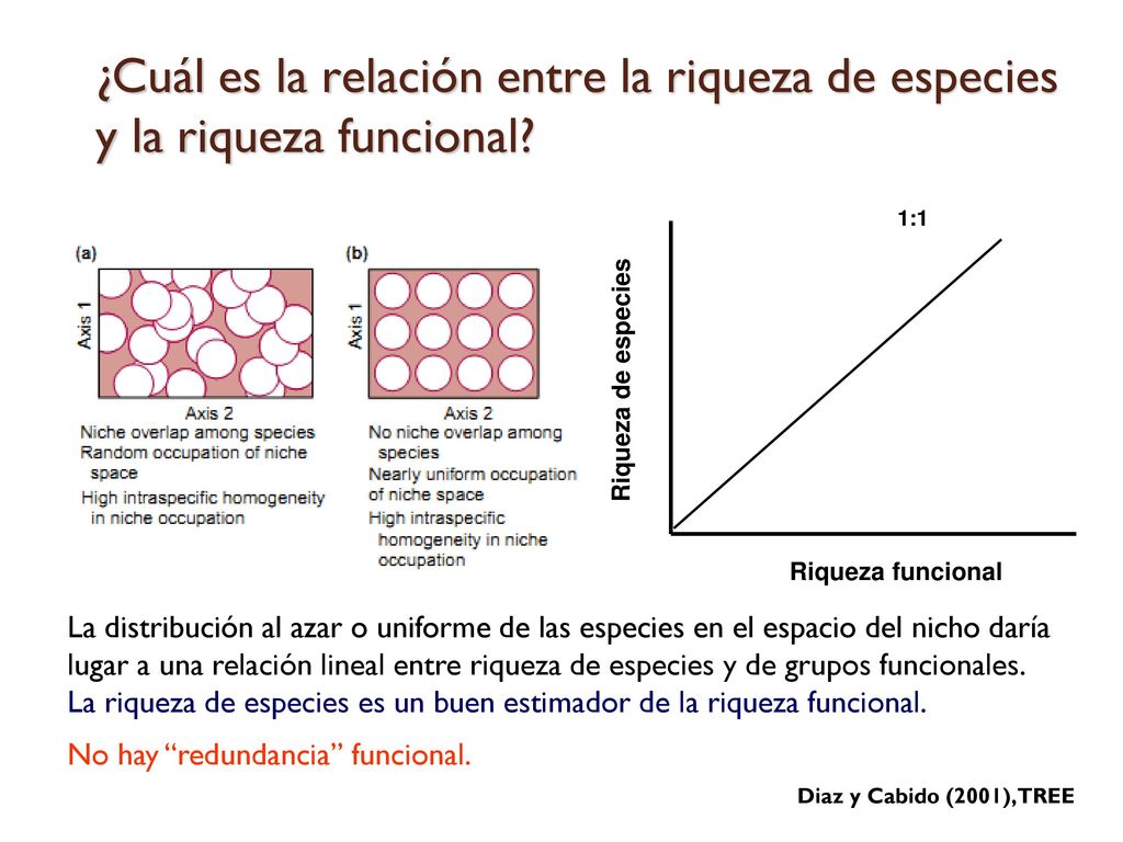 ¿Cuál es la relación entre la riqueza de especies y la riqueza funcional