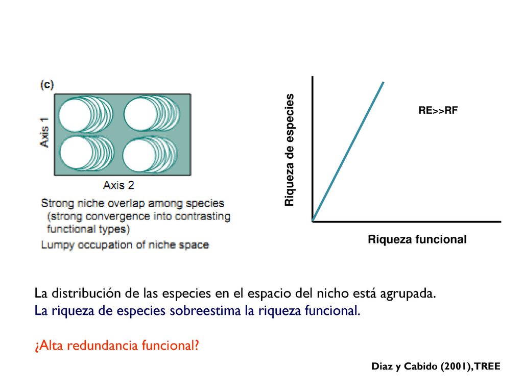 La distribución de las especies en el espacio del nicho está agrupada.